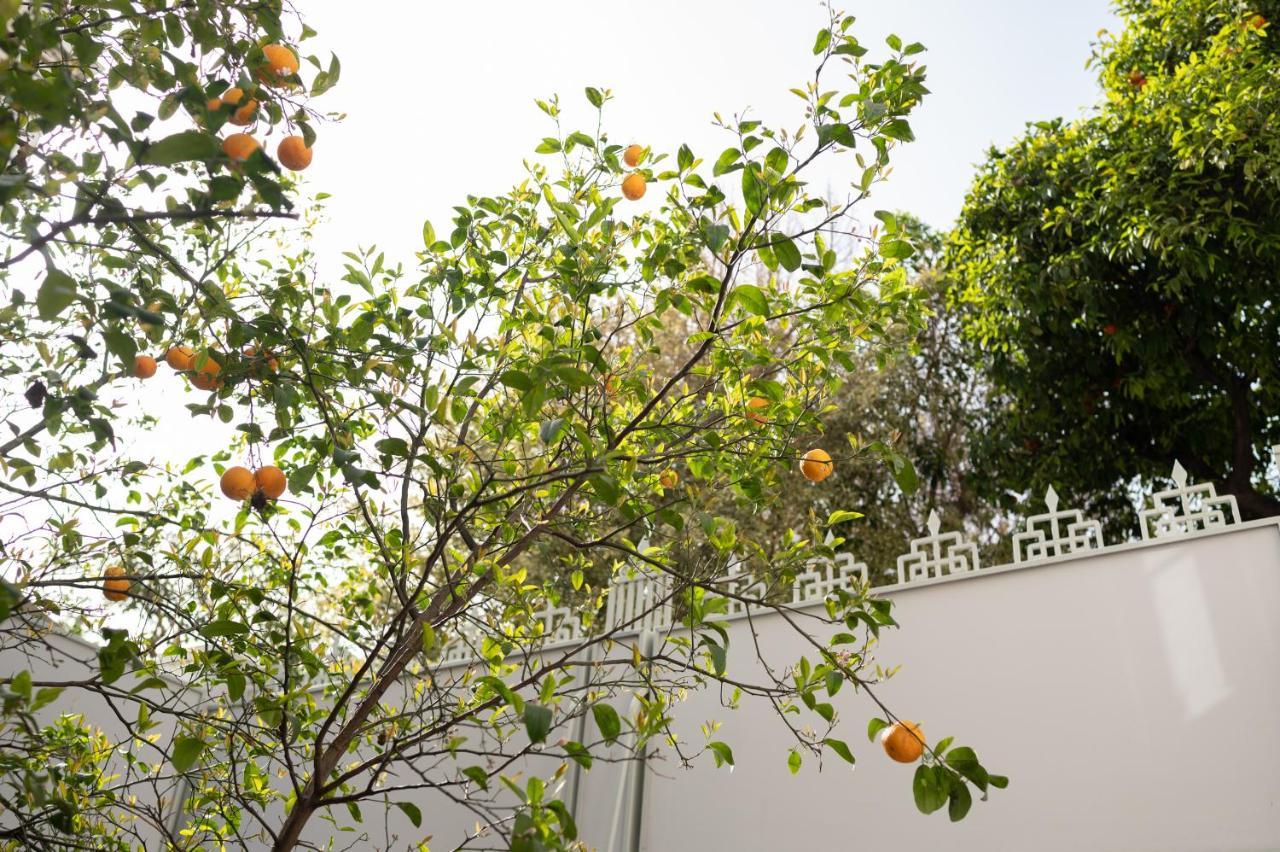 Ferienwohnung Casa Blue Dove Chania  Exterior foto